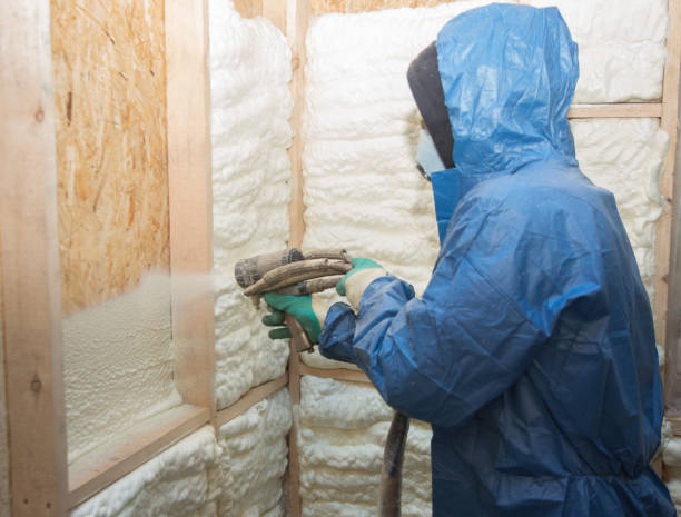 Best Spray Foam Insulation  in Mount Hope, WV